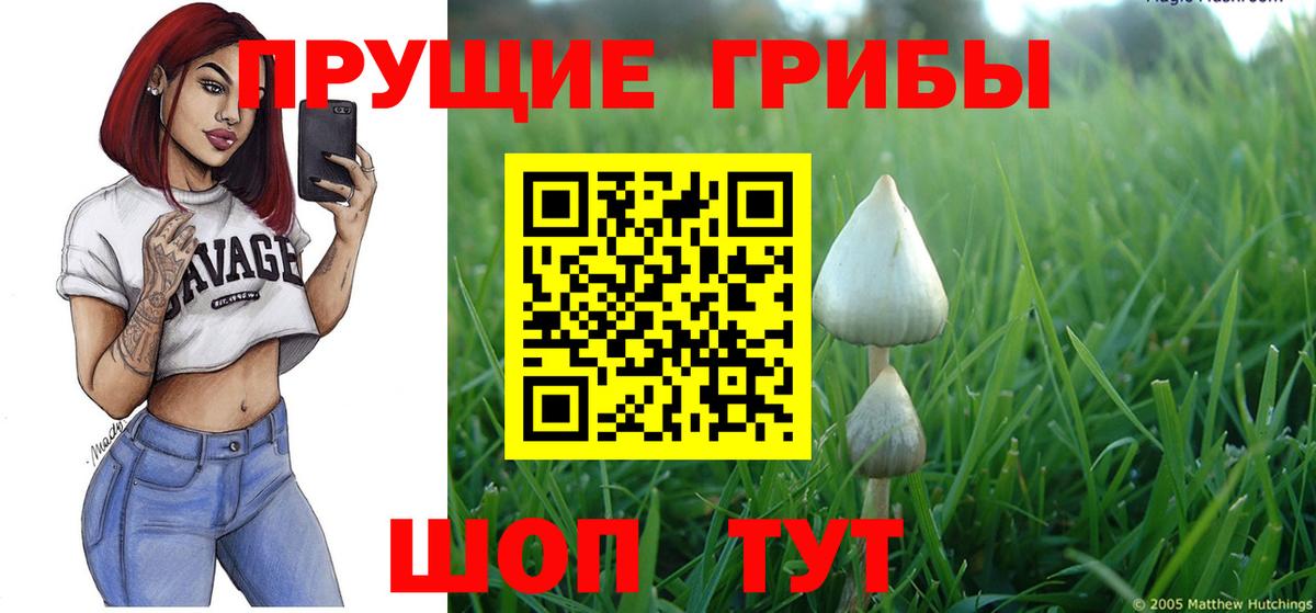 Сухой Лог  Галлюциногенные грибы Cubensis  Вход с VPN 